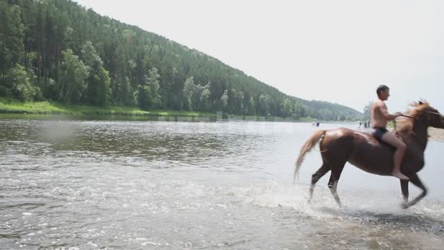 Титульная картинка