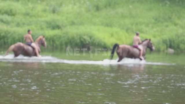 Титульная картинка