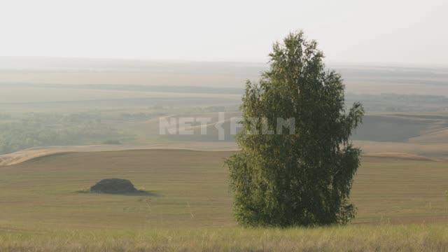 Титульная картинка