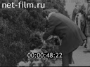 Кадр видео