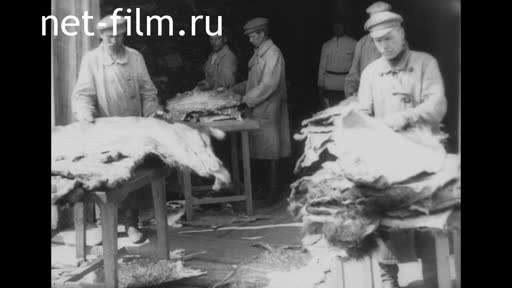 Footage Tannery. (1920-1930)