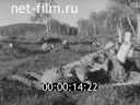 Кадр видео