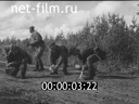 Кадр видео