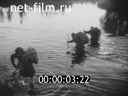 Кадр видео