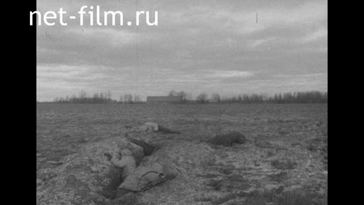 Footage In Courland. (1945)