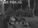 Кадр видео