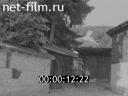 Кадр видео