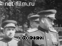 Кадр видео