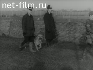 Новости Зарубежные киносюжеты №3767 (1974)