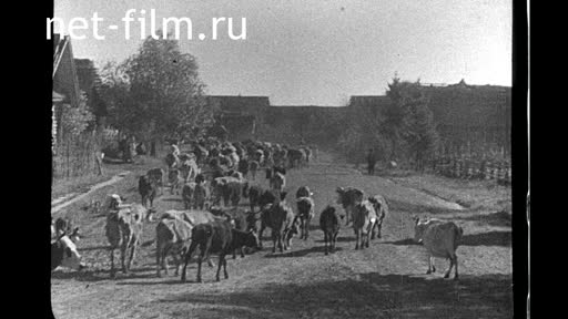 Киножурнал Союзкиножурнал №66 (1941)