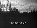 Footage frame