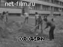 Кадр видео