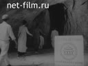 Foreign newsreels №474