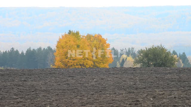 Титульная картинка