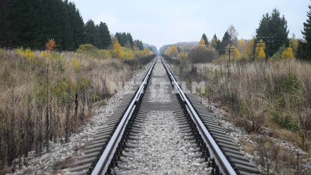 Титульная картинка