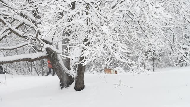 Титульная картинка