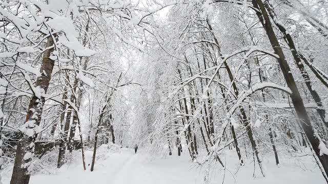 Титульная картинка