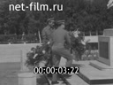 Кадр видео