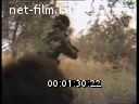 Footage frame