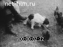 Кадр видео