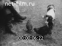 Кадр видео