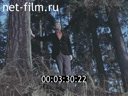 Footage frame