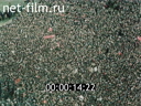 Footage frame