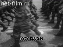Кадр видео