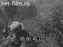 Кадр видео