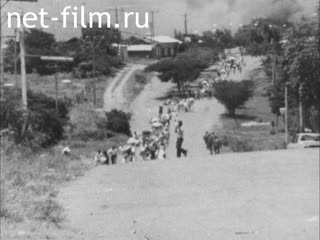 News Foreign newsreels №5768 (1978)