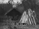 Кадр видео