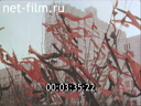 The materials for the newsreel "Russian Chronicler" 1997 No. 2 "Day of protest"