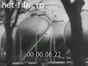 Footage frame