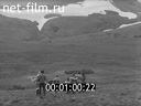 Кадр видео