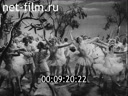 Кадр видео