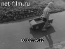 Кадр видео