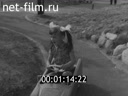 Кадр видео