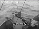 Кадр видео