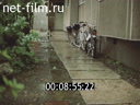 Footage frame