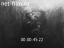 Footage frame