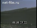 Экономические трудности в Польше.(Зарубежные новостные сюжеты №11, )