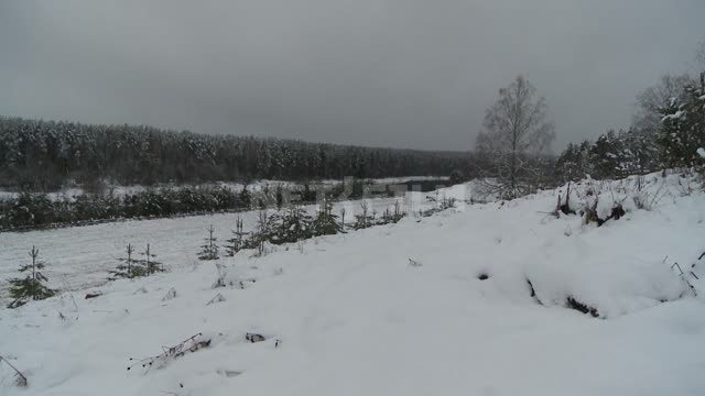 Титульная картинка