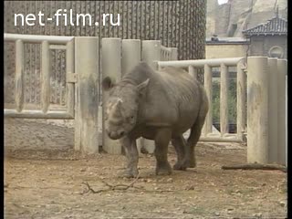 Новости Зарубежные новостные сюжеты №34 (1988)