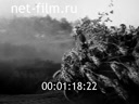 Footage frame