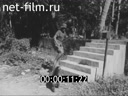 Кадр видео