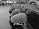 Кадр видео