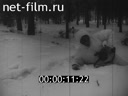 Кадр видео