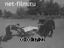 Кадр видео