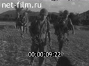 Кадр видео