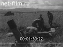 Кадр видео